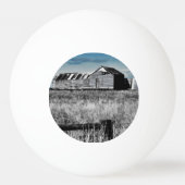 Australische Landelijke Relikwie Ping Pong Ball (Achterkant)