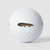 Australische longvis golfballen (Voorkant)