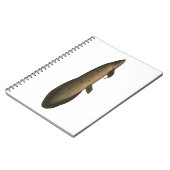 Australische longvis notitieboek (Linkerzijde)