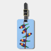Australische lorikeets bagagelabel (Voorkant verticaal)