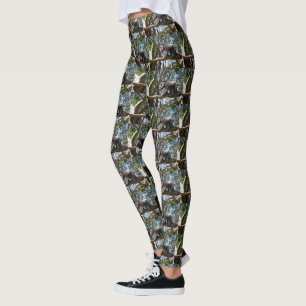 Australische man koala Beer op de weg, Leggings