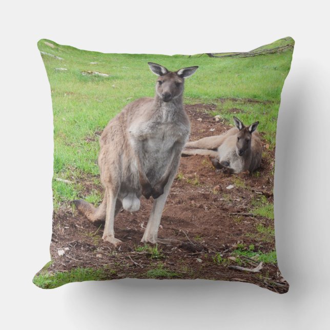 Australische mannetjesbuck Kangaroo Large Throw Cu Kussen (Voorkant)