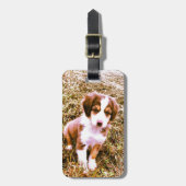Australische miniatuurherder! Mini Aussie Puppy! Bagagelabel (Voorkant verticaal)