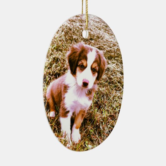 Australische miniatuurherder! Mini Aussie Puppy! Keramisch Ornament (Rechts)