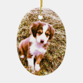 Australische miniatuurherder! Mini Aussie Puppy! Keramisch Ornament (Voorkant)