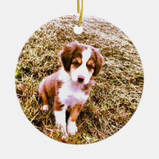 Australische miniatuurherder! Mini Aussie Puppy! Keramisch Ornament