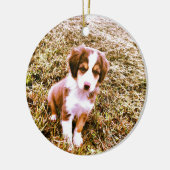 Australische miniatuurherder! Mini Aussie Puppy! Keramisch Ornament (Links)