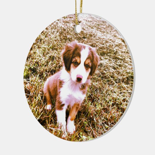 Australische miniatuurherder! Mini Aussie Puppy! Keramisch Ornament (Links)