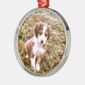 Australische miniatuurherder! Mini Aussie Puppy! Metalen Ornament (Links)
