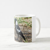 Australische Mok Magpie (Voorkant rechts)