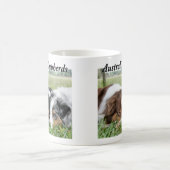 Australische Mok Shepherd (Center)