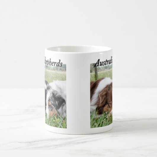 Australische Mok Shepherd (Center)