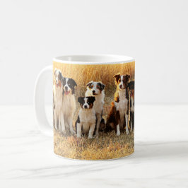 Australische Mok Shepherd