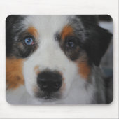 Australische Muismat Shepherd (Voorkant)