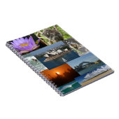 Australische Notitieboek (Rechterzijde)