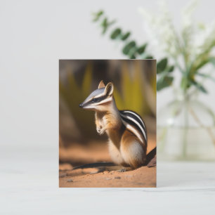 Australische Numbat, ansichtkaart Briefkaart