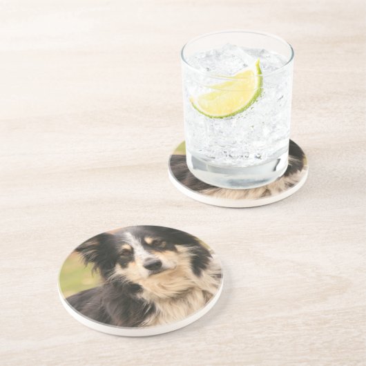 Australische Onderzetters van Shepherd (Zijkant)