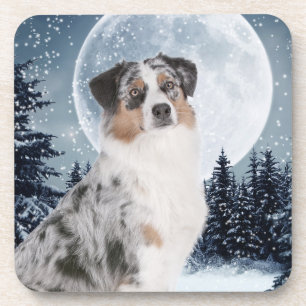 Australische Onderzetters van Shepherd