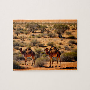 Australische outback kamelen, puzzel