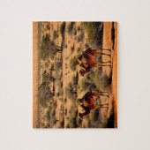 Australische outback kamelen, puzzel (Verticaal)