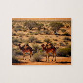 Australische outback kamelen, puzzel legpuzzel (Horizontaal)