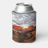 Australische outback-koelbox blikjeskoeler (Blikje Achterkant)