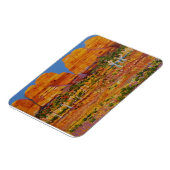 Australische Outback met wilde bloemen Magneet (Linkerzijde)