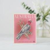 Australische parrot Briefkaart (Staand voorkant)