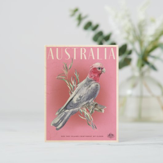  Australische parrot Briefkaart (Staand voorkant)