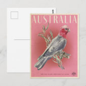 Australische parrot Briefkaart (Voorkant / Achterkant)