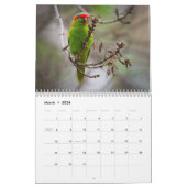 Australische parrots & Cockatoos-kalender - 3 mate Kalender (Mar 2026)