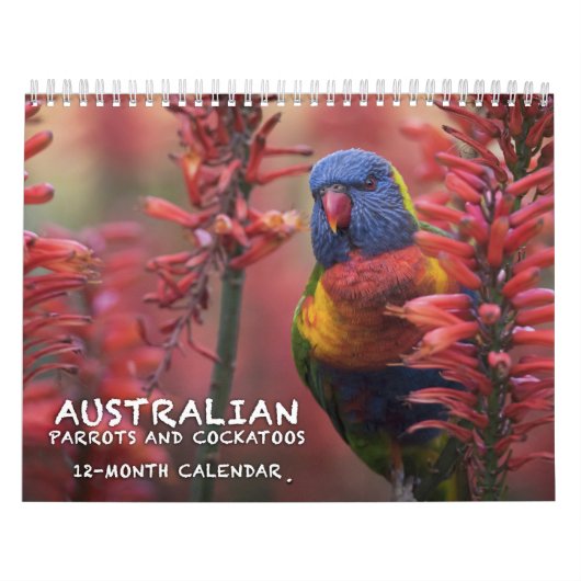 Australische parrots & Cockatoos-kalender - 3 mate Kalender (Hoes)