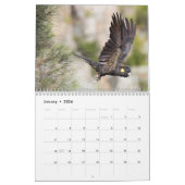 Australische parrots & Cockatoos-kalender - 3 mate Kalender (Jan 2026)