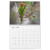 Australische parrots & Cockatoos-kalender - 3 mate Kalender (Mar 2027)