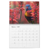 Australische parrots & Cockatoos-kalender - 3 mate Kalender (Feb 2027)