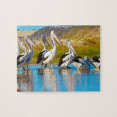 Australische Pelicans Legpuzzel (Horizontaal)