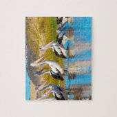 Australische Pelicans Legpuzzel (Verticaal)