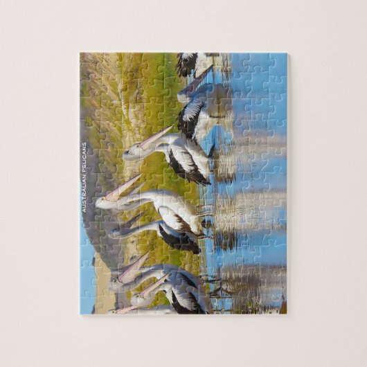Australische Pelicans Legpuzzel (Verticaal)