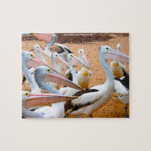 Australische Pelicans Legpuzzel