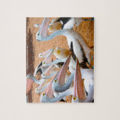 Australische Pelicans Legpuzzel (Verticaal)