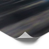 Australische Pelicans Pelecanus Conspicillatus Poster (Hoek)