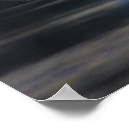 Australische Pelicans Pelecanus Conspicillatus Poster (Hoek)