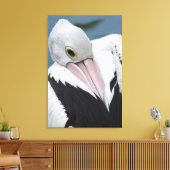 Australische pelikaan komt dicht canvas afdruk (Insitu (Woonkamer))