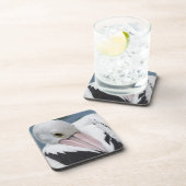 Australische pelikaan komt dicht drankjes onderzetter (Rechterzijde)