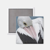 Australische pelikaan komt dicht magneet (Voorkant / Achterkant)