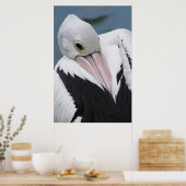 Australische pelikaan komt dicht poster (Keuken)