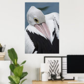 Australische pelikaan komt dicht poster (Thuiskantoor)