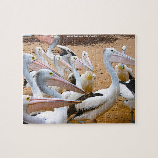 Australische pelikanen legpuzzel (Horizontaal)
