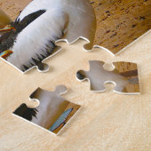 Australische pelikanen legpuzzel (Zijkant)
