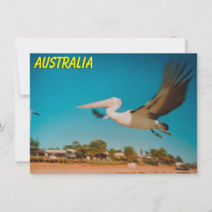 Australische pelikische kaart